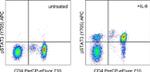 Phospho-STAT3 (Tyr705) Antibody in Flow Cytometry (Flow)