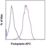 Podoplanin Antibody in Flow Cytometry (Flow)