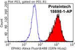 EPHA1 Antibody in Flow Cytometry (Flow)