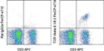 TCR V beta 8.1/8.2 Antibody in Flow Cytometry (Flow)