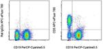 CD5 Antibody in Flow Cytometry (Flow)