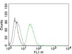 Ornithine Decarboxylase-1 (ODC-1) Antibody in Flow Cytometry (Flow)