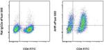 AHR Antibody in Flow Cytometry (Flow)