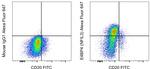 E4BP4 (NFIL3) Antibody in Flow Cytometry (Flow)