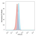 RBMS2/SCR3 Antibody in Flow Cytometry (Flow)