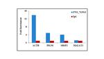 FTO Antibody in RNA Immunoprecipitation (RIP)