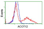 ACOT12 Antibody in Flow Cytometry (Flow)