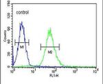 ADCY10 Antibody in Flow Cytometry (Flow)