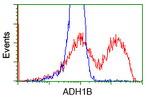 ADH1B Antibody in Flow Cytometry (Flow)