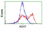 ADH7 Antibody in Flow Cytometry (Flow)
