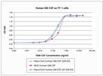 Human GM-CSF, Animal-Free Protein in Functional Assay (FN)