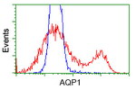 AQP1 Antibody in Flow Cytometry (Flow)