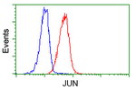 C-Jun Antibody in Flow Cytometry (Flow)