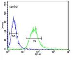 Carbonic Anhydrase VI Antibody in Flow Cytometry (Flow)