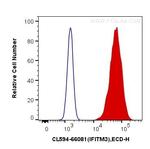 IFITM2/3 Monoclonal Antibody (2E8D12), CoraLite® 594