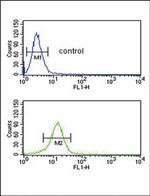 COL5A2 Antibody in Flow Cytometry (Flow)