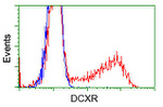 DCXR Antibody in Flow Cytometry (Flow)