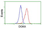 DGKA Antibody in Flow Cytometry (Flow)