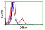 DTNA Antibody in Flow Cytometry (Flow)