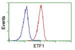 ETF1 Antibody in Flow Cytometry (Flow)