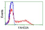 FAHD2A Antibody in Flow Cytometry (Flow)