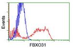 FBXO31 Antibody in Flow Cytometry (Flow)