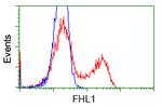 FHL1 Antibody in Flow Cytometry (Flow)