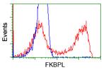 FKBPL Antibody in Flow Cytometry (Flow)