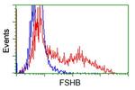 FSHB Antibody in Flow Cytometry (Flow)