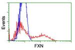 FXN Antibody in Flow Cytometry (Flow)