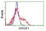 GTF2F1 Antibody in Flow Cytometry (Flow)