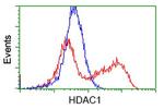 HDAC1 Antibody in Flow Cytometry (Flow)