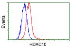 HDAC10 Antibody in Flow Cytometry (Flow)
