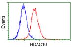HDAC10 Antibody in Flow Cytometry (Flow)
