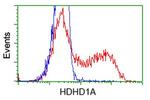 HDHD1 Antibody in Flow Cytometry (Flow)