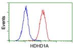 HDHD1 Antibody in Flow Cytometry (Flow)