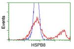 HSPB8 Antibody in Flow Cytometry (Flow)