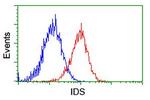 IDS Antibody in Flow Cytometry (Flow)