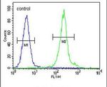 IL-12 p40 Antibody in Flow Cytometry (Flow)