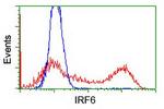 IRF6 Antibody in Flow Cytometry (Flow)