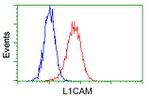 L1CAM Antibody in Flow Cytometry (Flow)