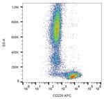 CD229 Antibody in Flow Cytometry (Flow)