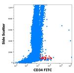 CD34 Antibody in Flow Cytometry (Flow)
