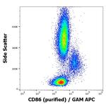 CD86 Antibody in Flow Cytometry (Flow)