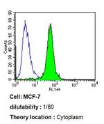 ARF1/ARF3/ARF5/ARF6 Antibody in Flow Cytometry (Flow)