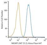 MGMT Antibody in Flow Cytometry (Flow)