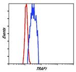 TRAF1 Antibody in Flow Cytometry (Flow)