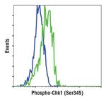 Phospho-CHK1 (Ser345) Antibody in Flow Cytometry (Flow)