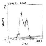 RT1.A Antibody in Flow Cytometry (Flow)