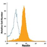 Nestin Antibody in Flow Cytometry (Flow)